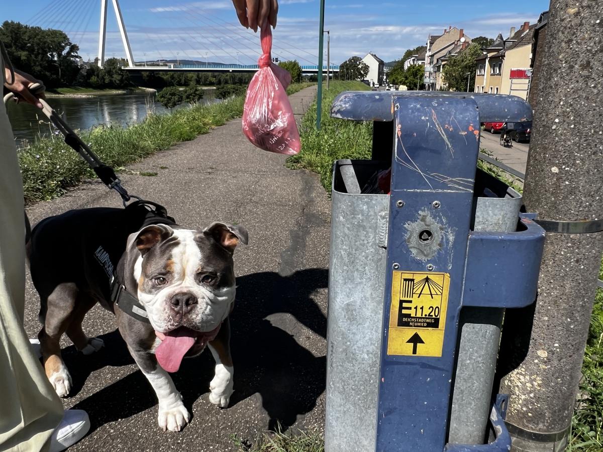 Damit es nicht stinkt: Hundekotbeutel bitte verknoten